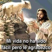 Paqui castellano barba (@paquicastellan7) 's Twitter Profile