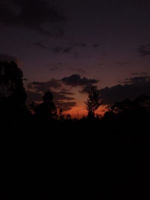 _arogo_'s profile picture. The Controversial