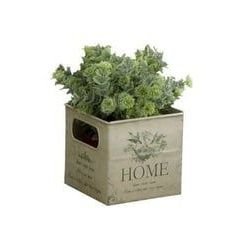 chimkenwingszz's profile picture. 