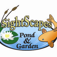 SightScapes (@sightscapespond) 's Twitter Profile