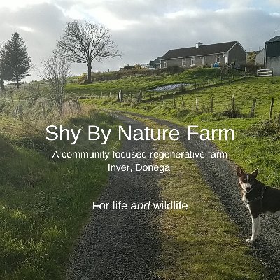 Community focused regenerative farm in Inver, Donegal. Ronan here, former PR turned social/eco campaigner, now becoming regen farmer
@ronan@mastodon.green