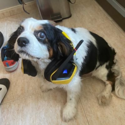 NucleoxTV's profile picture. Bonjour, je m'appelle Nucleox y vengo de Lugo