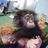 DAFNE's Twitter (X) avatar
