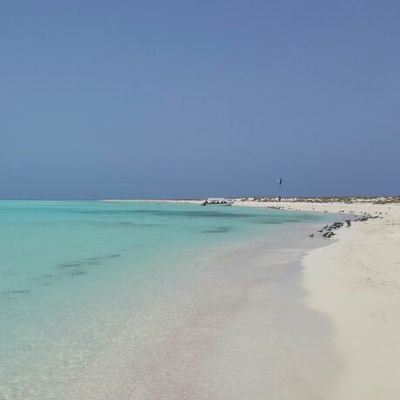 AAhudhaif's profile picture. 