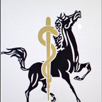Andrews Athletic Training (@ahsmustangs_atp) 's Twitter Profile