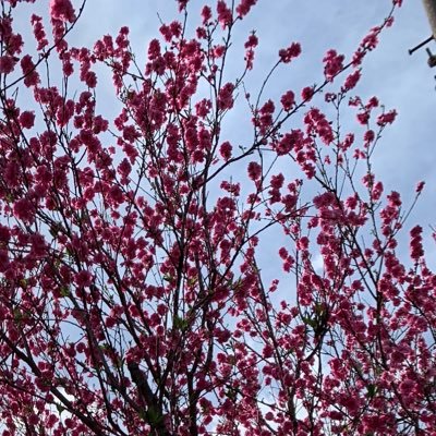 RM4bk's profile picture. KーPOP ゲーム MARVEL 無言フォロー失礼します