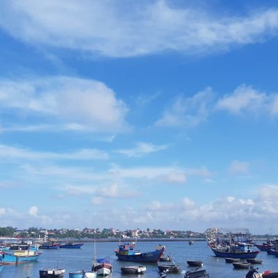 PGCPGCPGCPGCPGC's profile picture. 