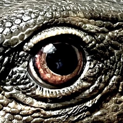 oto_otootooto's profile picture. 動物園の便利屋してます