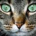Pussinboots ๐๐ค๐๐ฆ๐ฆ๐ฅ๐ (@pussinb93062756) Twitter profile photo Pussinboots ๐๐ค๐๐ฆ๐ฆ๐ฅ๐ (@pussinb93062756) Twitter profile photo