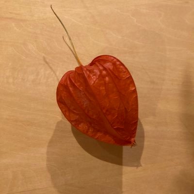 ハツさんのプロフィール画像