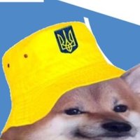 NotAFella (@fellanota) 's Twitter Profile
