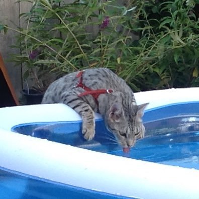 zutphen_dave's profile picture. 