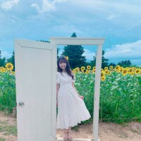 きらまゆこ (@kiramayu1101) 's Twitter Profile