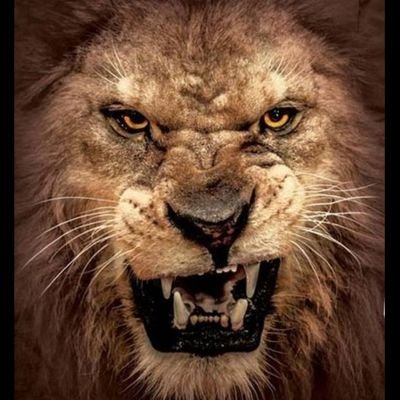 MichaelYawn12's profile picture. US Marine veteran, Combat Martial Arts Instructor, Businessman, Musician, Golfer, Proud supporter of our Constitutional Republic.