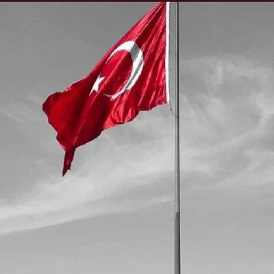 abdulla09951888's profile picture. Beşiktaş🦅🦅🦅