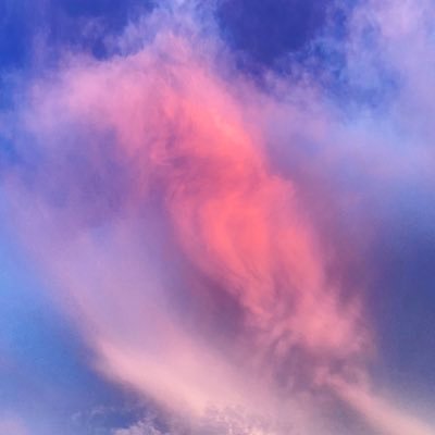 19 | personal: @billxch | twitch: https://t.co/2TSOFBO8rn