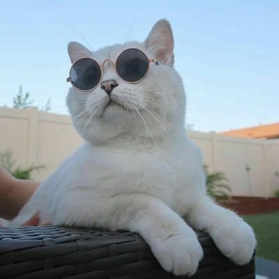 DilmurodAlimur1's profile picture. 