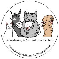 Silverlinings Animal Rescue(@SilverliningsAR) 's Twitter Profile Photo
