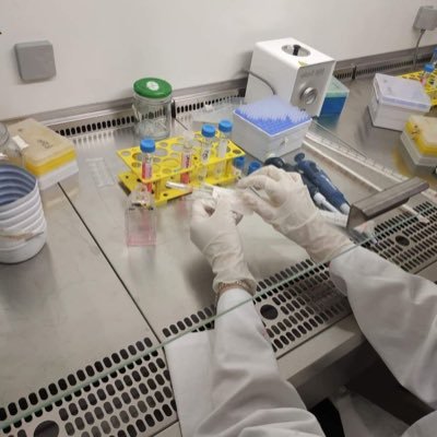 👩🏻🔬 Microbiology student at @IAU_CS | Stand on the battlefront of your dream and fight for it 🧗🏻 Don’t stop until you proud of yourself , Be special🌟.