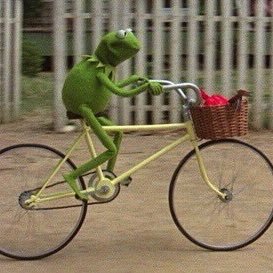 hermitthefrog99's profile picture. 