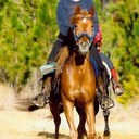 Teri Hunter - @endwoman - Twitter