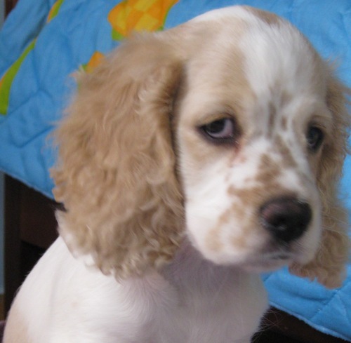 Anitapuentesm's profile picture. 