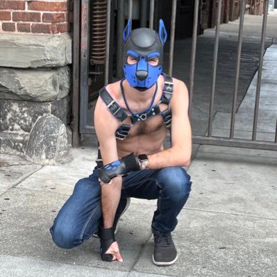 NorCal blue dog into all sorts of things.  Happily taken by @PupMach 🇺🇸🇫🇷
