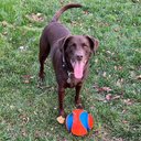 Chad Dickerson - @ChadDic69624845 - Twitter