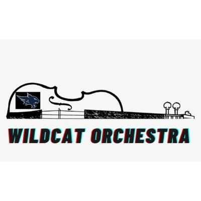 NIS_Orchestra Profile Picture