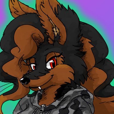 Bfoxさんのプロフィール画像