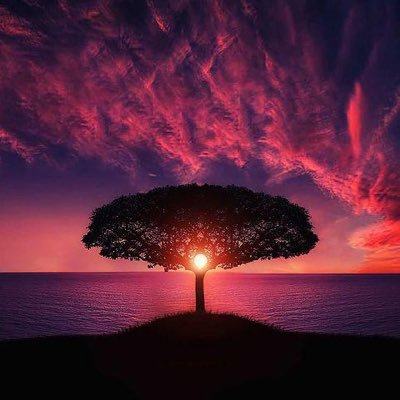 Iraq_Liberty's profile picture. إعلامي | ماجستير إعلام سياسي | مهتم بتحليل الأخبار والسياسة | متابعة الأحداث العالمية والمحلية | رأيي يعكس الواقع العربي| #الإعلام_السياسي