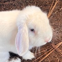 may (@harlequinthinks) 's Twitter Profile Photo may (@harlequinthinks) 's Twitter Profile Photo