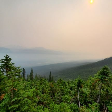 ksol_newsfeed's profile picture. Ingesting feed for personal use