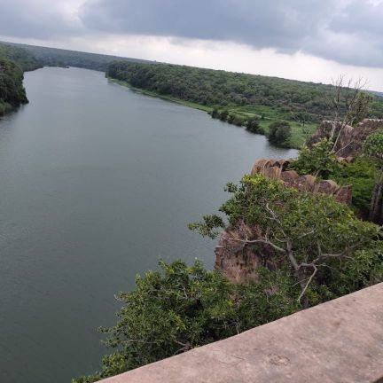 introvert_Autho's profile picture. Be self