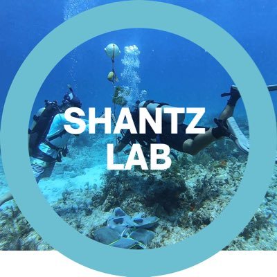 👨‍🔬@AAshantz 📍@fsumarinelab Exploring how #GlobalChange impacts the #Biology & #Physiology of animals to shape their behavior & functional roles 🪸🦪