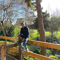 NelsonM. (@nelson1312_) 's Twitter Profile