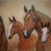 Mo Casitas (@casitas_mo) 's Twitter Profile