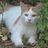 wolfeman1313's profile image