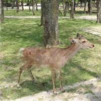 ス (@toshibo593) 's Twitter Profile