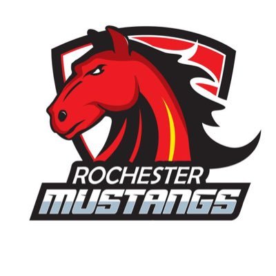 Rochester MN Youth Hockey Association