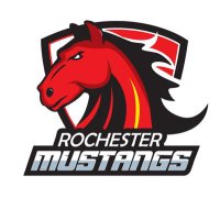 Rochester MN Youth Hockey(@RochYouthHockey) 's Twitter Profile Photo