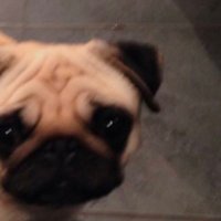 Robert MacMillan (@johnwallmill65) 's Twitter Profile