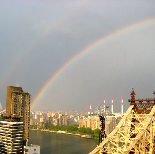 NicheNYCWedding's profile picture. Let us help you navigate NYC's top curators and boutique services and as a thank you, a 10% donation will be made to a charity of your choosing.