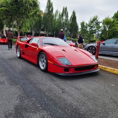 illegalcheez's profile picture.