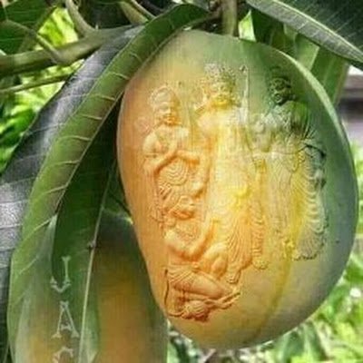 CScareer501's profile picture. 