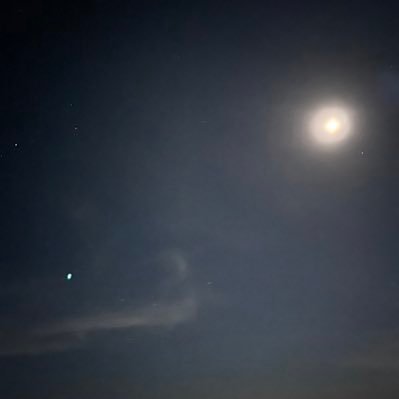 sdartra's profile picture. 