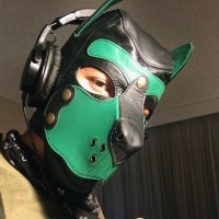 PupJake (@pupjakesf) 's Twitter Profile