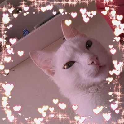 debraさんのプロフィール画像