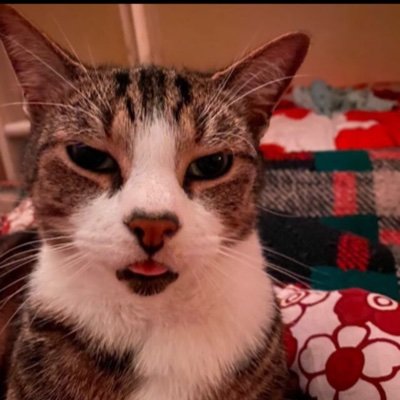 Jojoflowers321's profile picture. 💀🪦💐