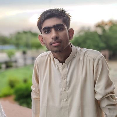 mubashirali071's profile picture. MERN Stack Developer | React Js | Node Js | AI & Cloud Computing Enthusiast | Software Engineer '25